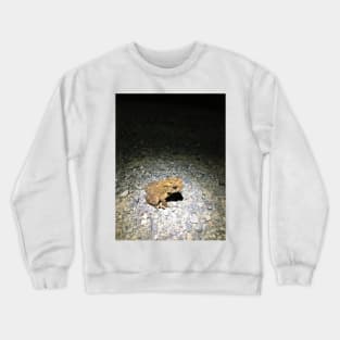 Toad Superstar Crewneck Sweatshirt